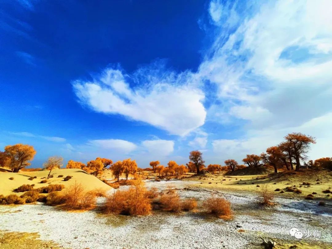 无以言表：尉犁步鞠的美妙