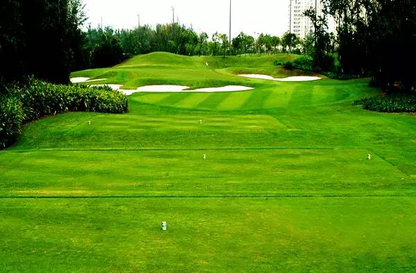 美视高尔夫球会（球场改造）