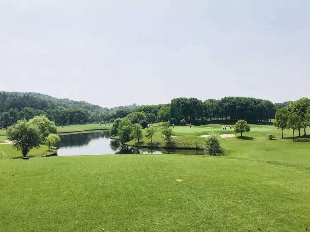 龙山湖高尔夫球会