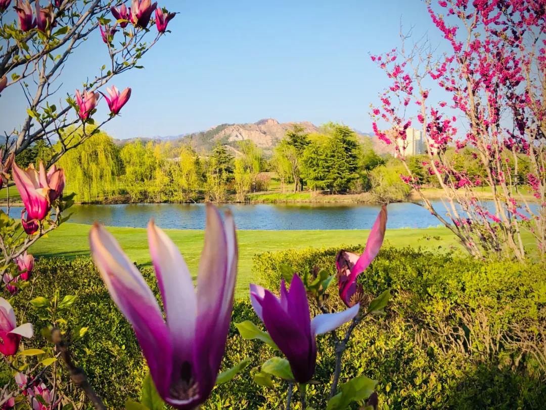 青岛国际高尔夫球会