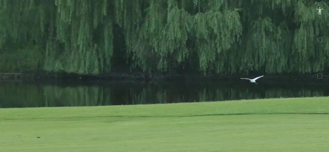 横店禹山高尔夫球会