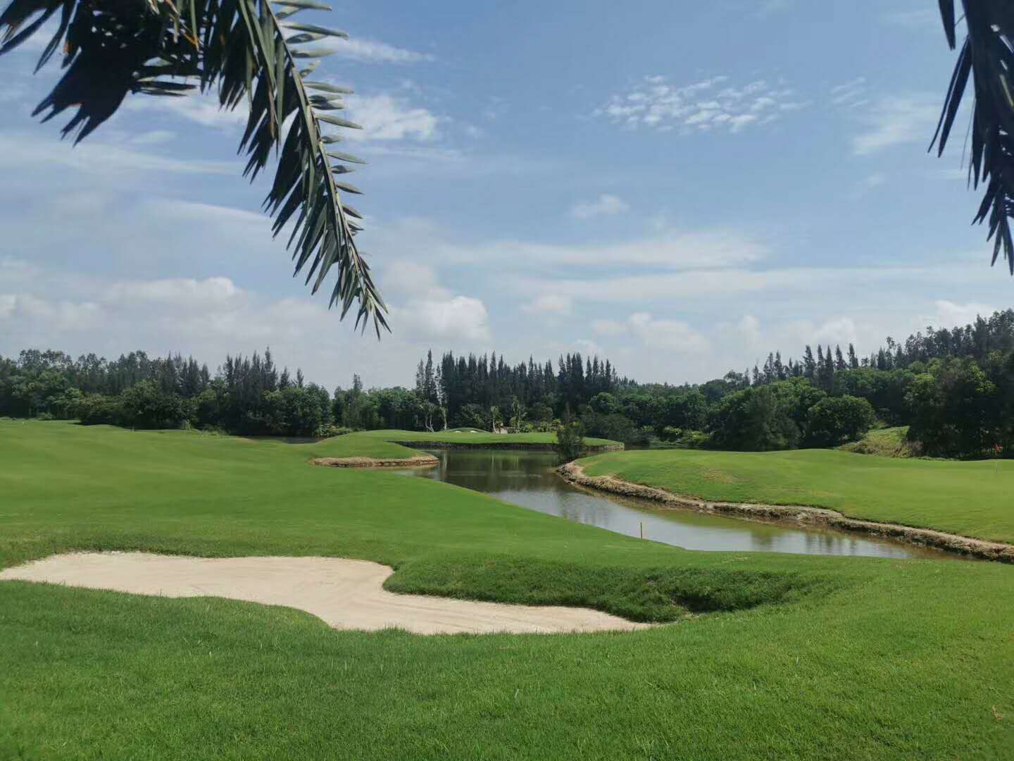 鼎龙湾高尔夫球会