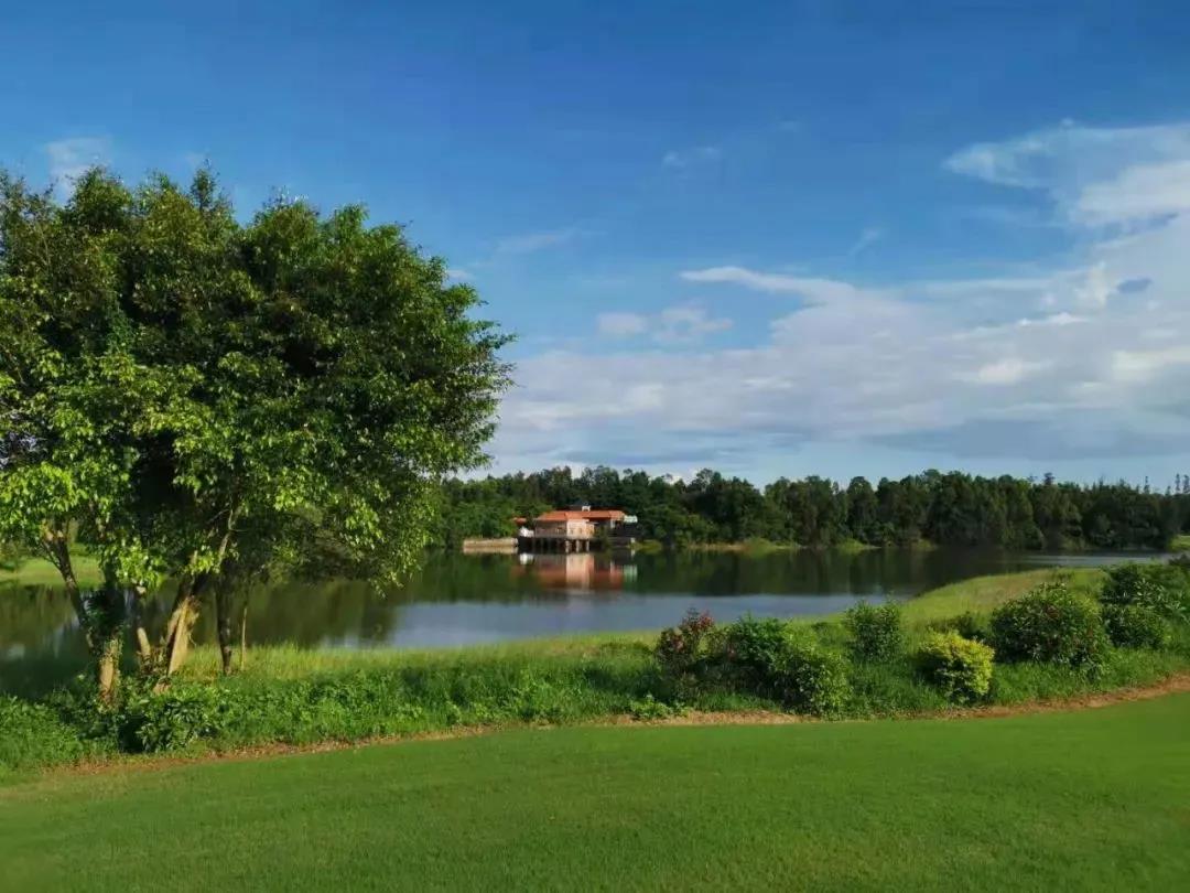 金海湾2天1晚2球