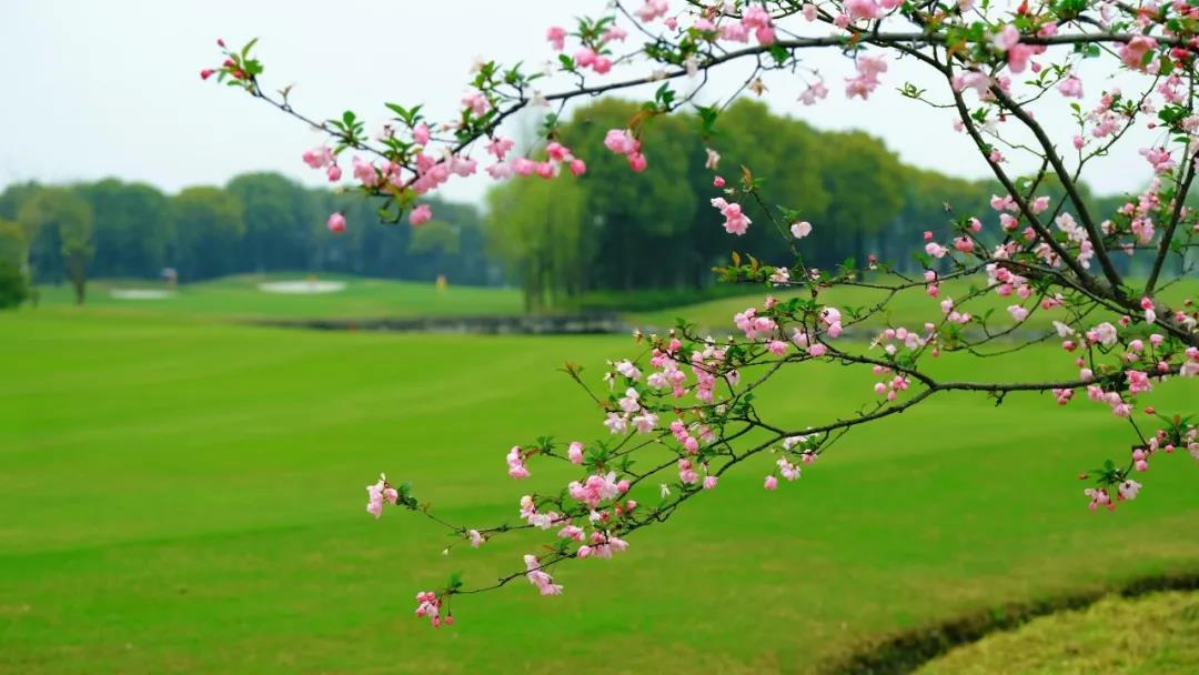 浙江鉴湖高尔夫球会
