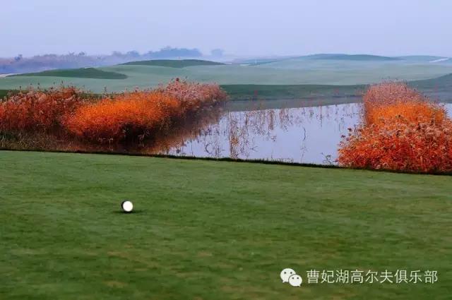 曹妃湖高尔夫球会