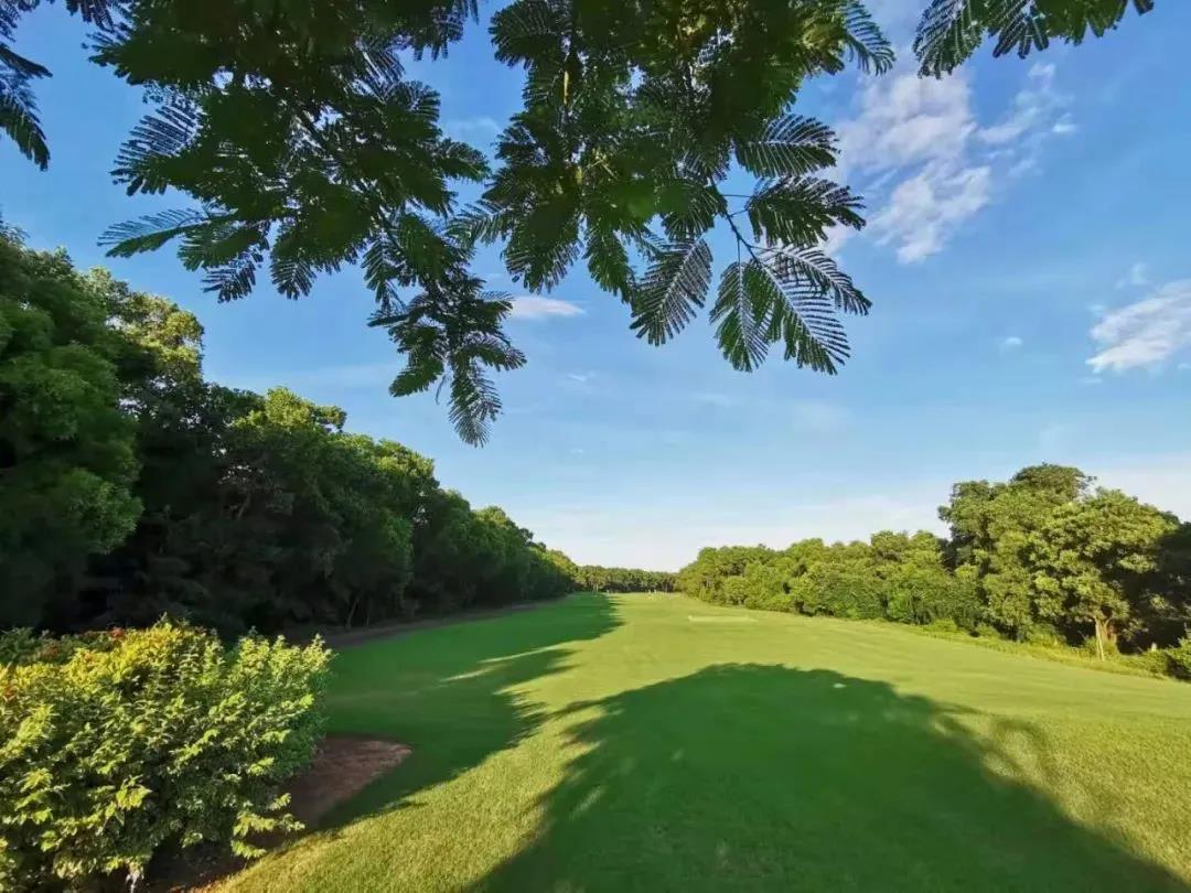 金海湾2天1晚2球