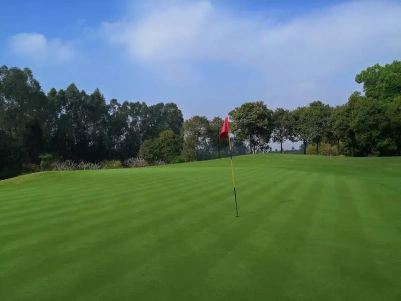 云东海2天1晚2球