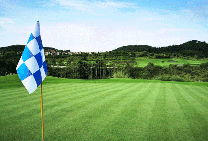 梧州桂茵3天2晚3球