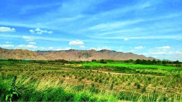 维信国际高尔夫球会