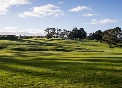 新西兰南北岛12天10晚6场球