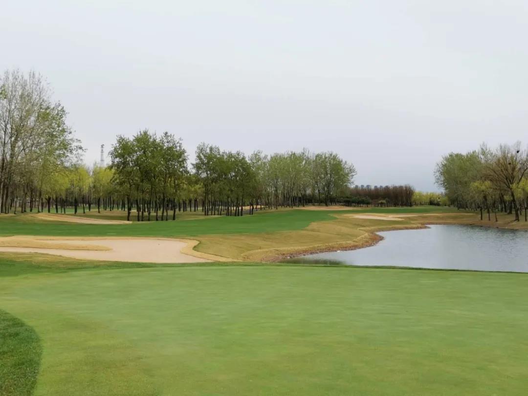 CBD国际高尔夫球会