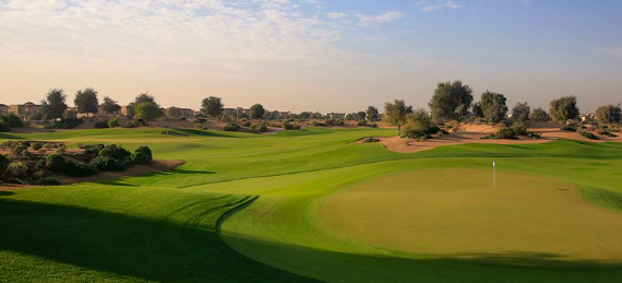 阿联酋7天5晚5场球