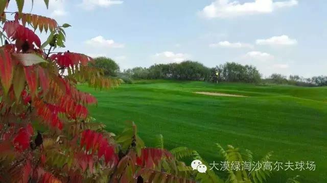 榆林大漠绿淘沙高尔夫球会（暂停预订）