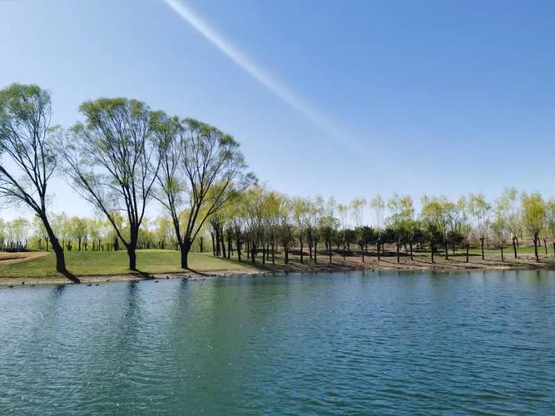 CBD国际高尔夫球会