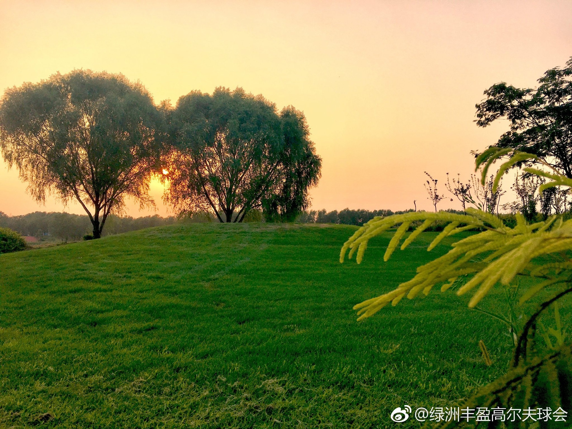 绿洲丰盈高尔夫球会