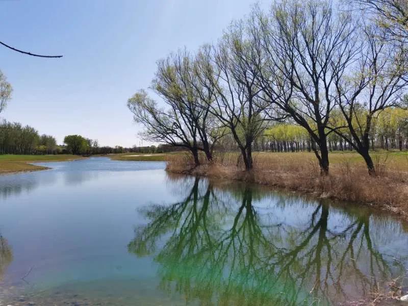 CBD国际高尔夫球会