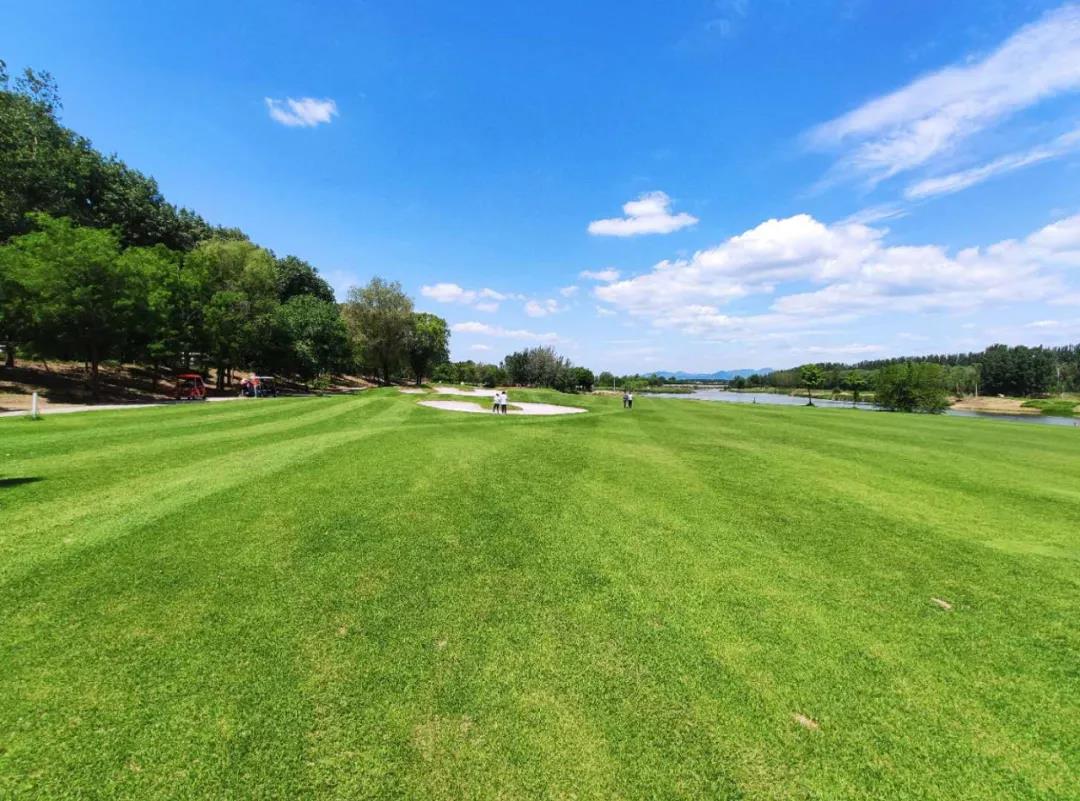 彼岸青滩高尔夫球会