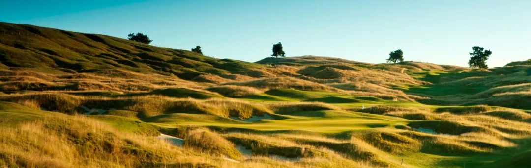 新西兰南北岛12天10晚6场球