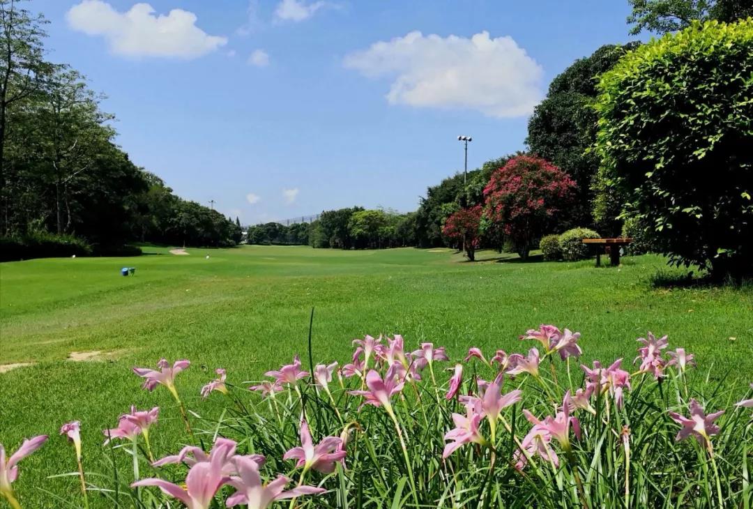 深圳名商高尔夫球会