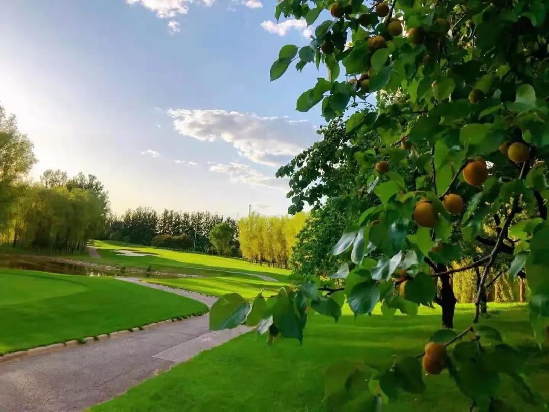 鸿华国际高尔夫球会