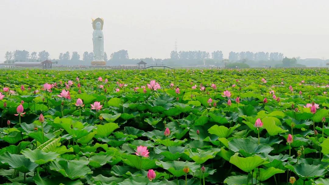 美庐庄园高尔夫球会