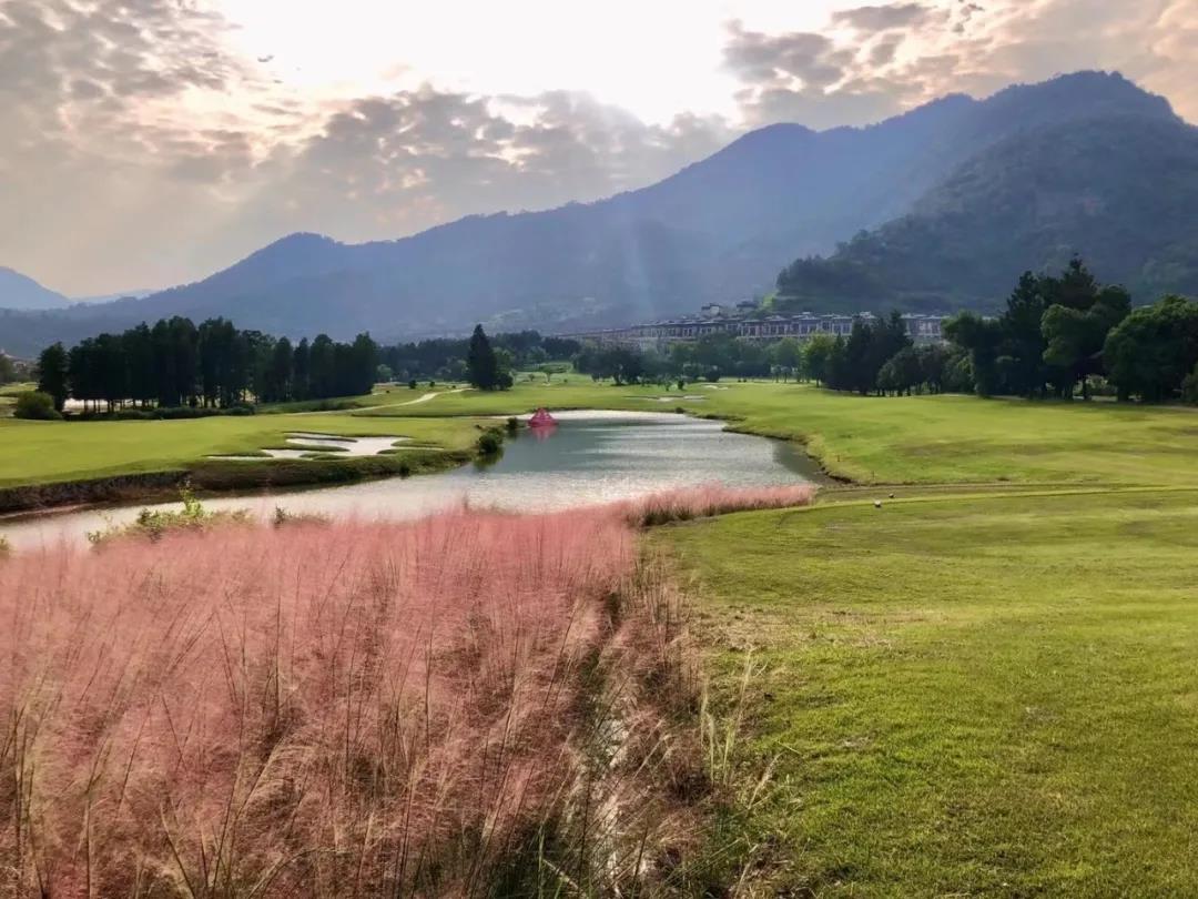 新东阳高尔夫球会