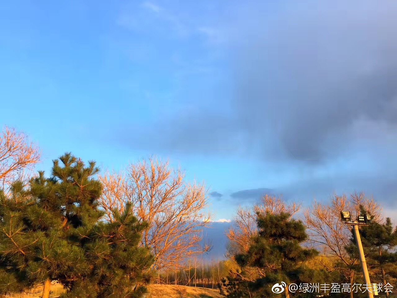 绿洲丰盈高尔夫球会