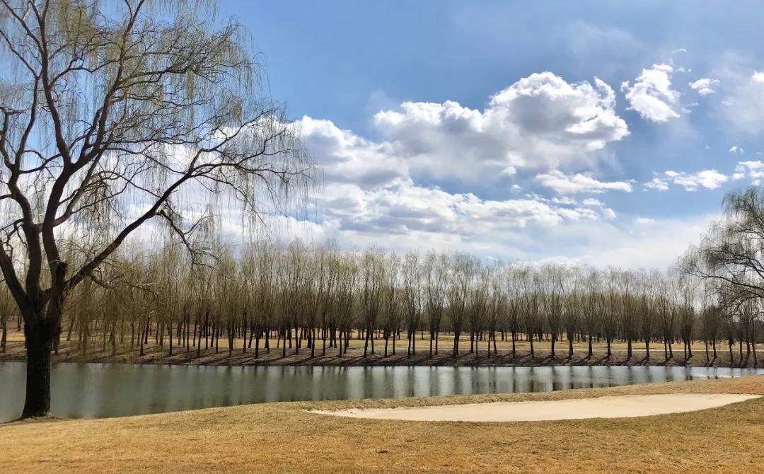 CBD国际高尔夫球会