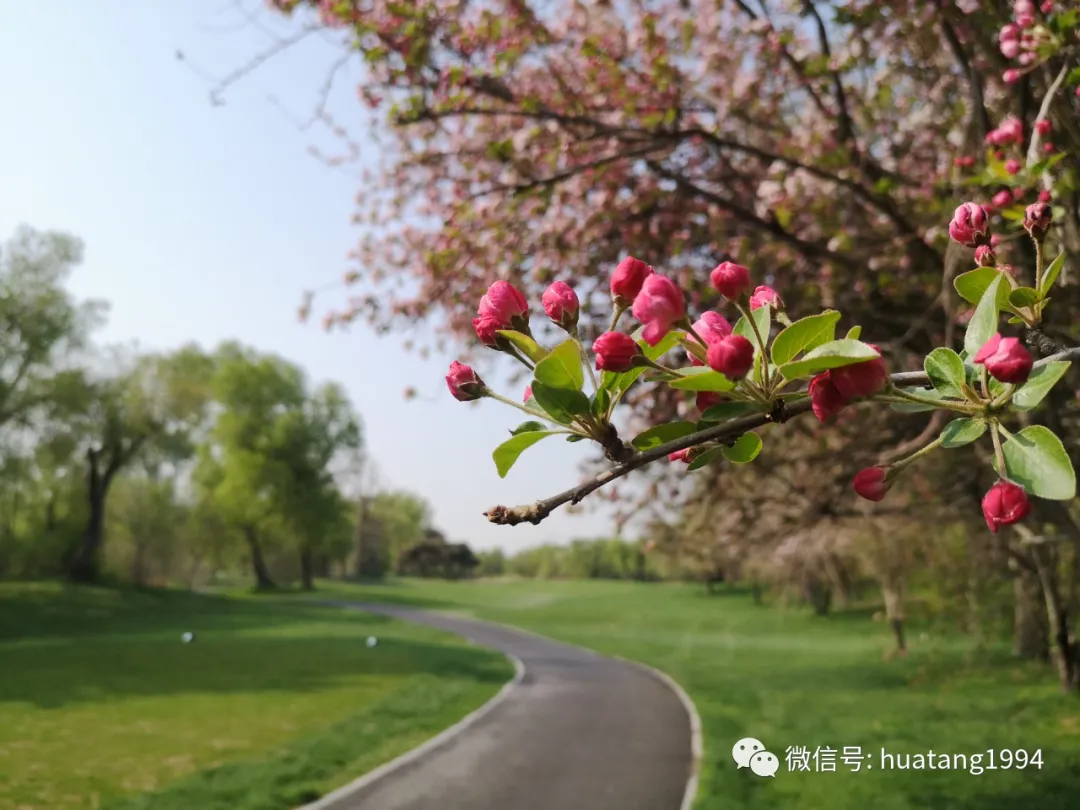 华堂国际高尔夫球会