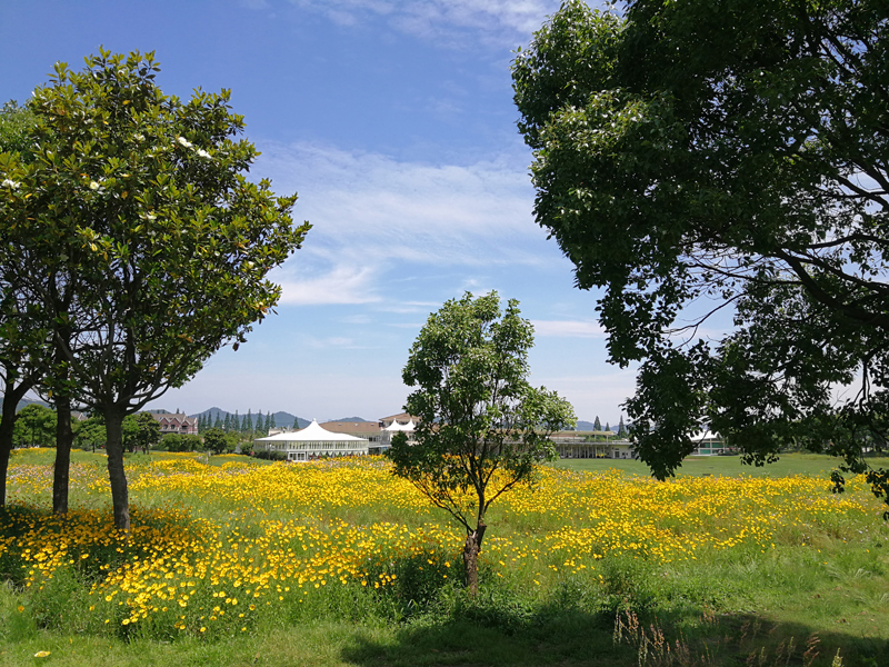 启新绿色世界高尔夫球会