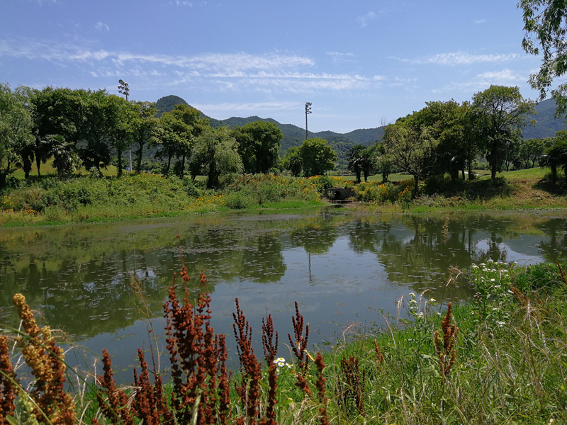 启新绿色世界高尔夫球会