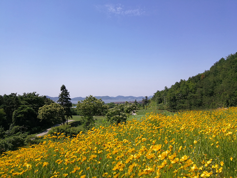 启新绿色世界高尔夫球会