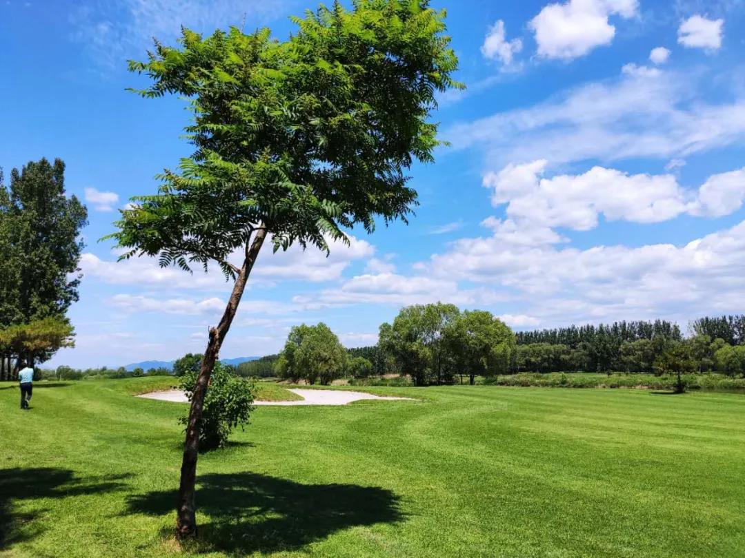 彼岸青滩高尔夫球会