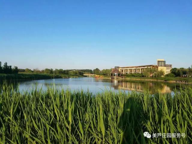 美庐庄园高尔夫球会