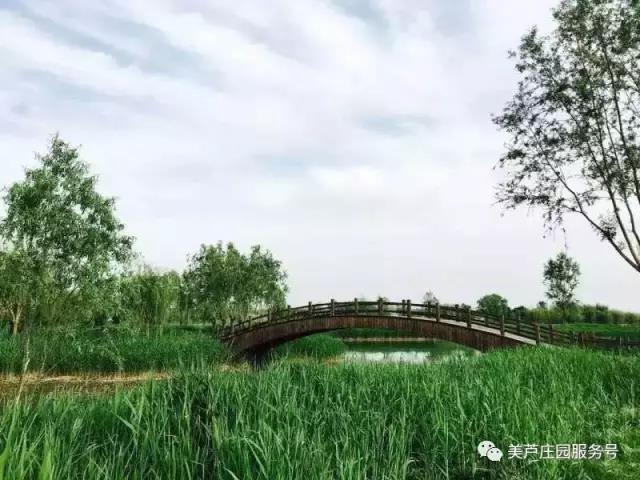 美庐庄园高尔夫球会