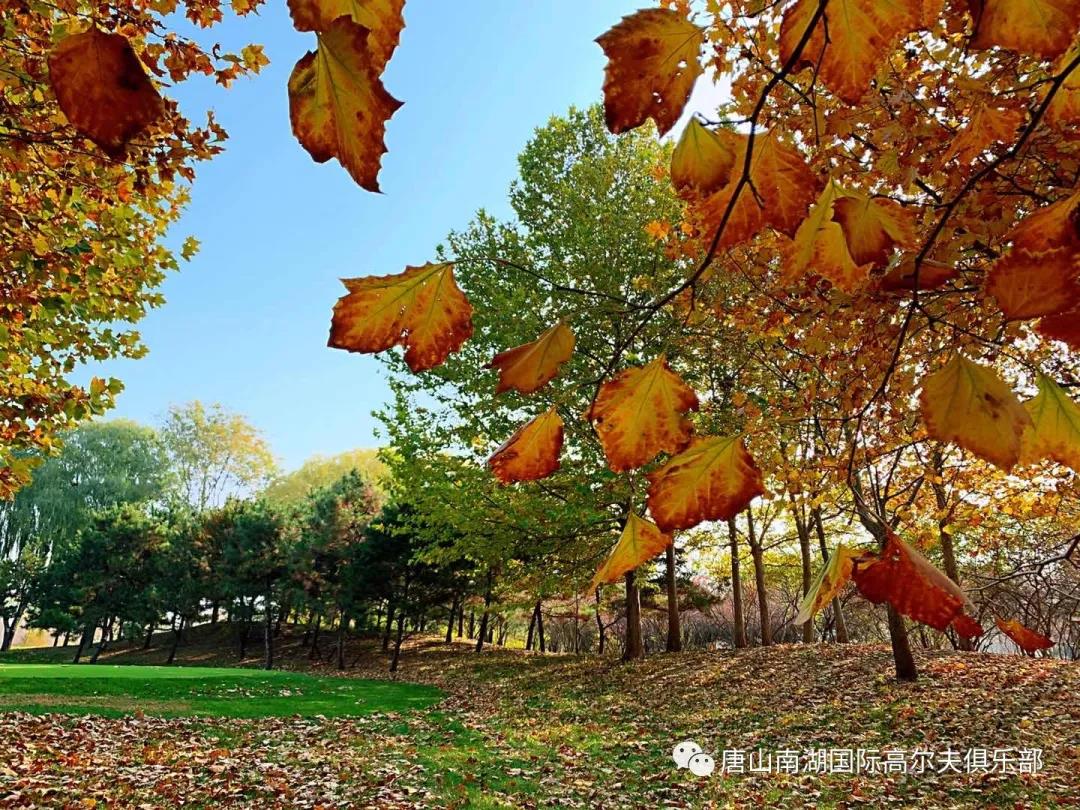 唐山南湖高尔夫球会