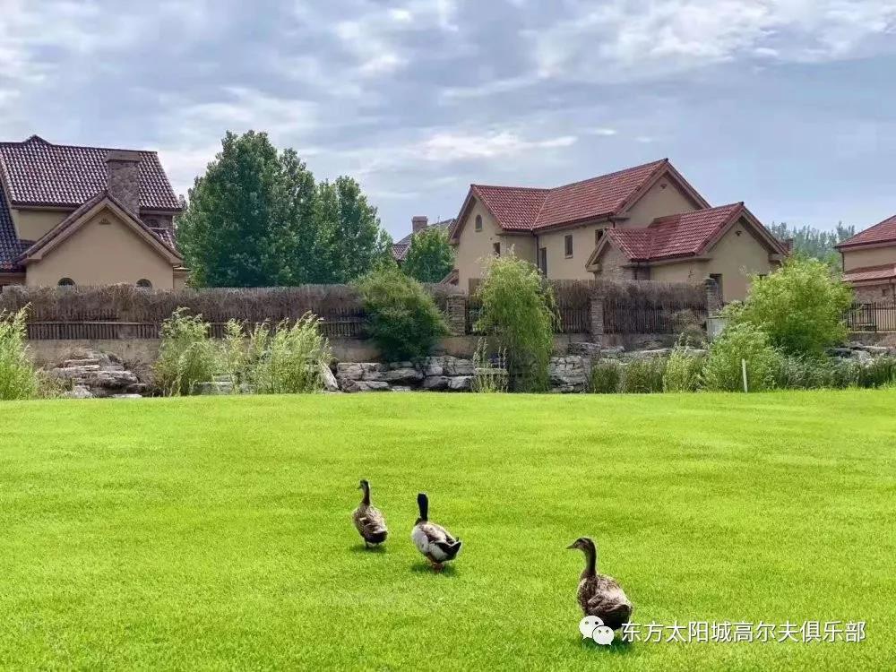 太阳城高尔夫球会