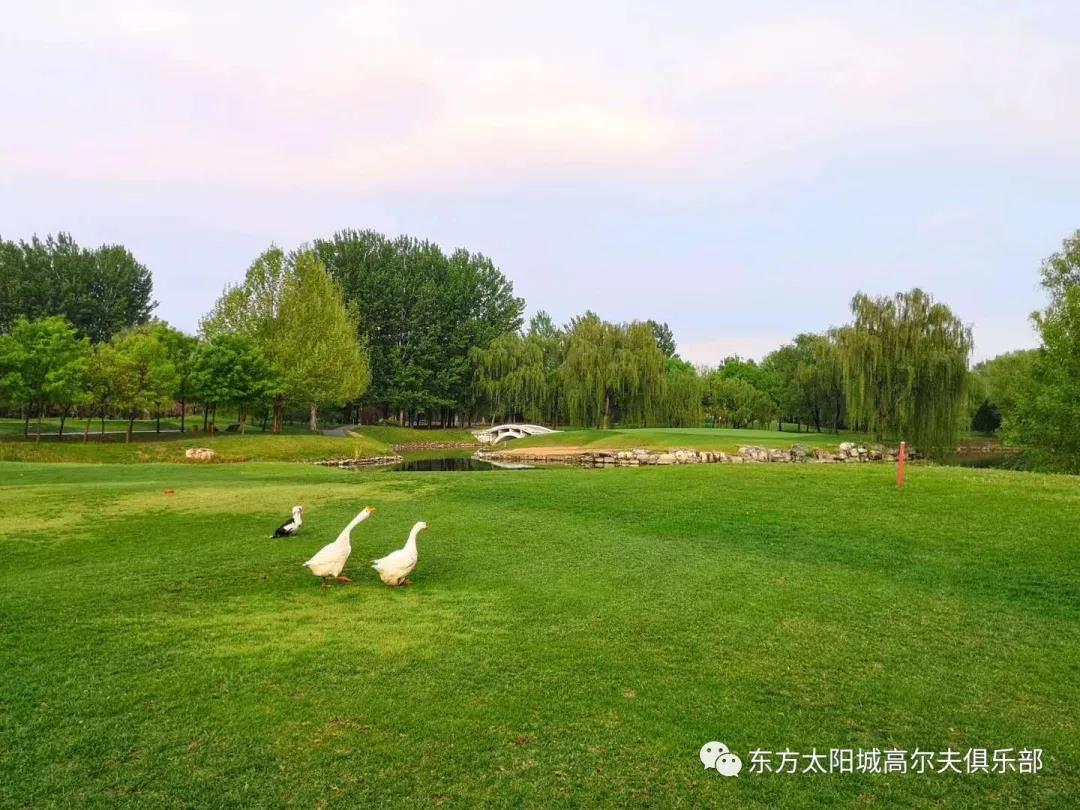 太阳城高尔夫球会