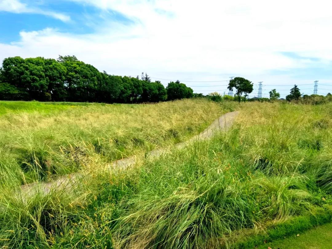 颖奕安亭高尔夫球会