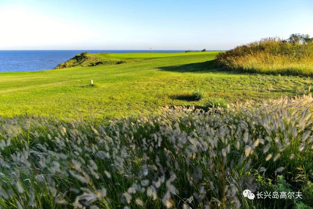 大连长兴岛高尔夫球会