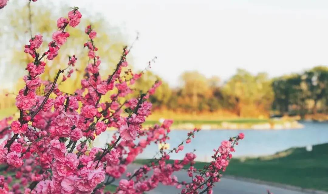 北京万柳高尔夫球会