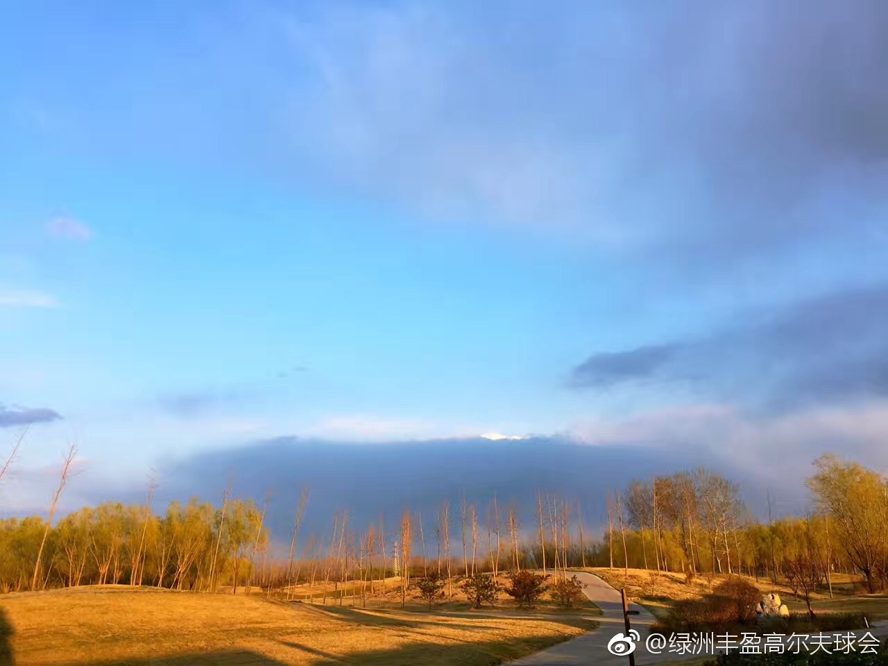 绿洲丰盈高尔夫球会