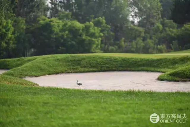 东方明珠高尔夫球会