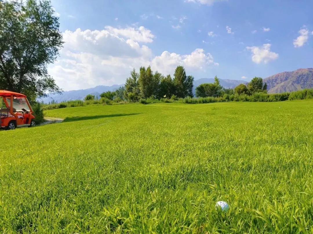 维信国际高尔夫球会