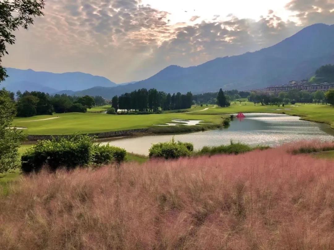 新东阳高尔夫球会