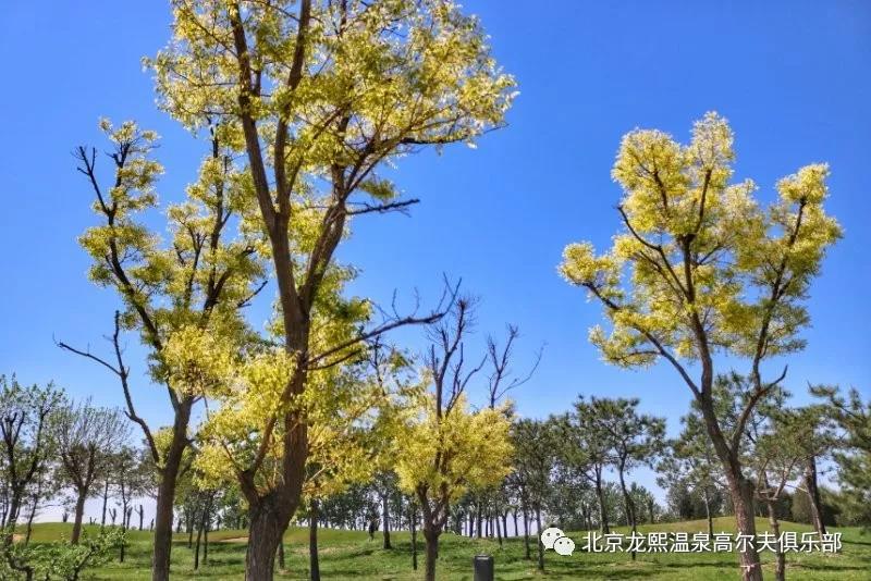 龙熙温泉高尔夫球会