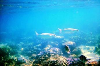 【马来西亚】佳蓝汶莱+丝绸港湾+沙巴5天4晚3球