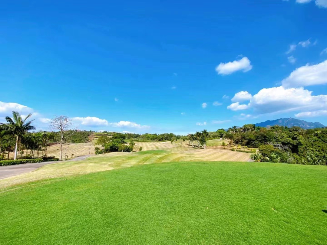 世纪海景1天1晚1球