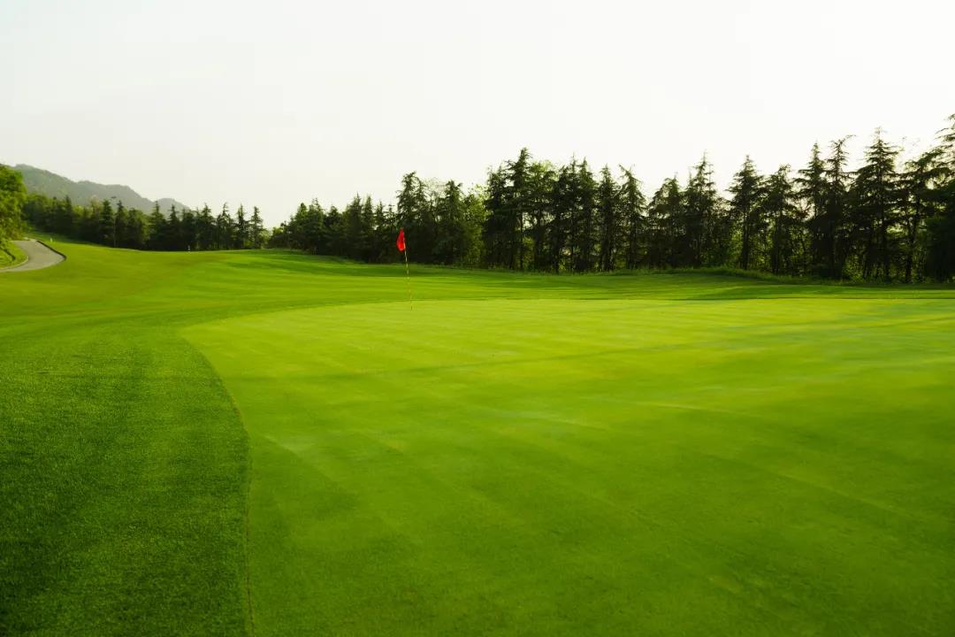 远洋国际高尔夫球会