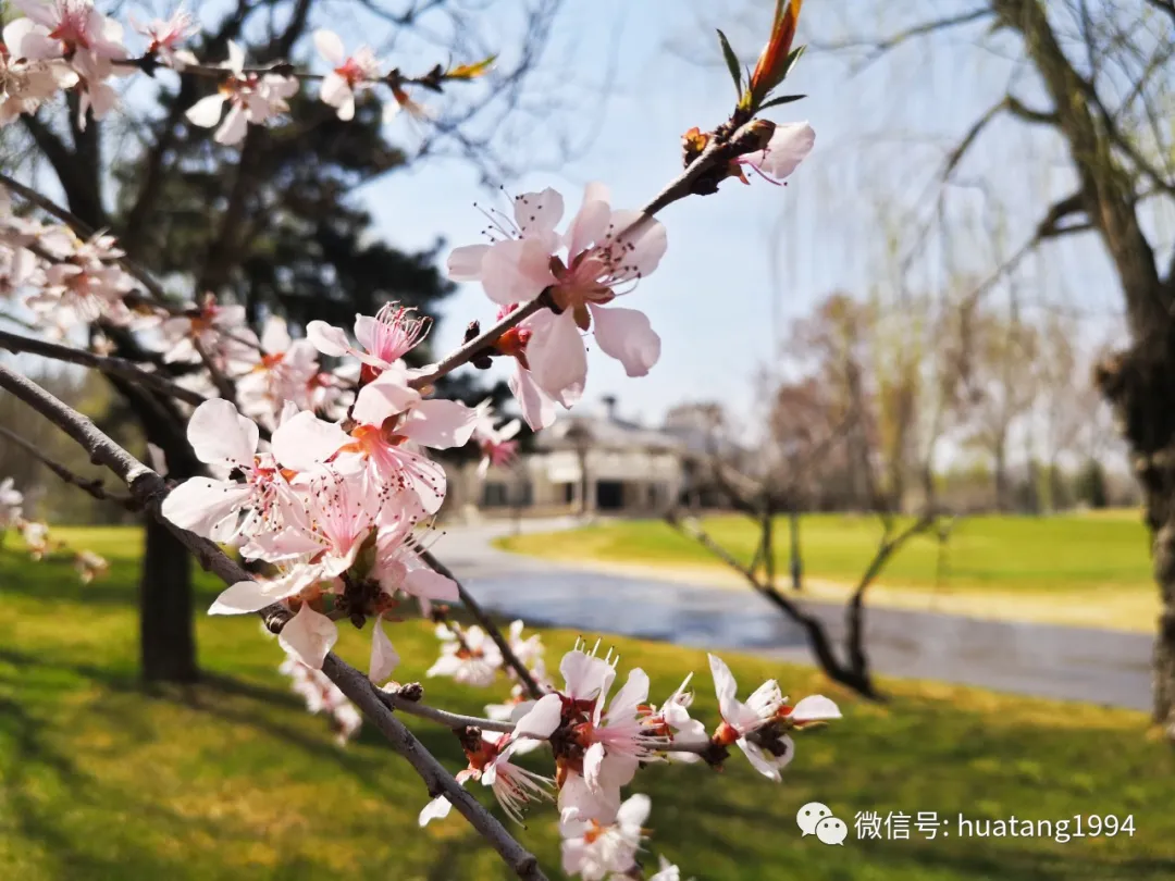 华堂国际高尔夫球会